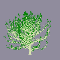 greenshift tree