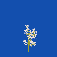 greenshift tree