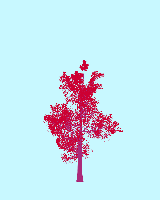greenshift tree