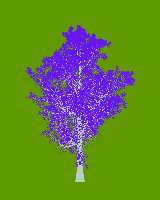 greenshift tree