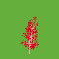 greenshift tree