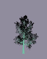 greenshift tree