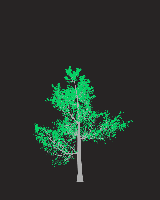 greenshift tree