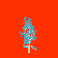 greenshift tree