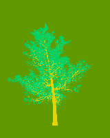 greenshift tree