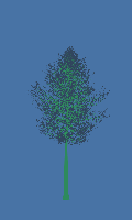 greenshift tree