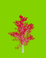 greenshift tree
