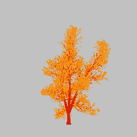 greenshift tree