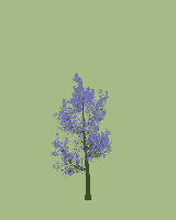 greenshift tree