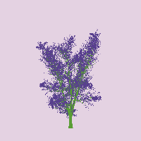 greenshift tree