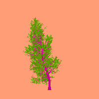 greenshift tree