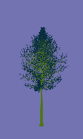 greenshift tree