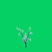 greenshift tree