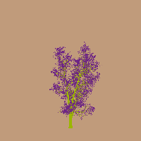 greenshift tree