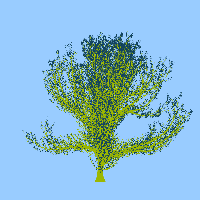 greenshift tree
