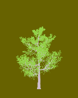 greenshift tree