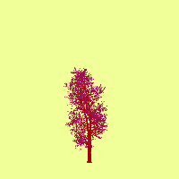 greenshift tree