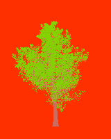greenshift tree
