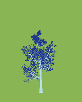 greenshift tree