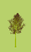 greenshift tree