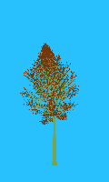 greenshift tree