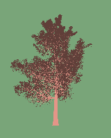 greenshift tree