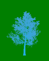 greenshift tree