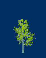 greenshift tree