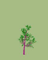greenshift tree