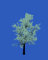 greenshift tree