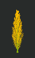 greenshift tree