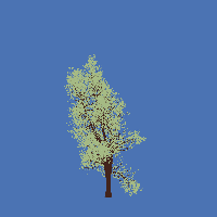 greenshift tree