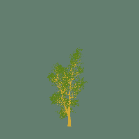 greenshift tree
