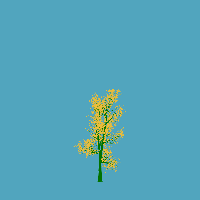 greenshift tree