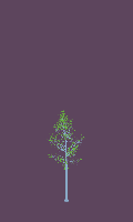 greenshift tree