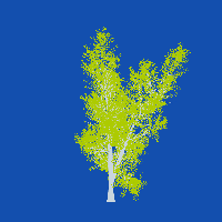 greenshift tree