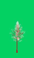 greenshift tree