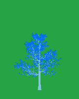 greenshift tree