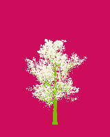 greenshift tree