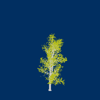 greenshift tree