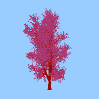 greenshift tree