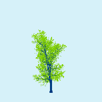 greenshift tree