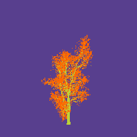 greenshift tree