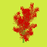 greenshift tree