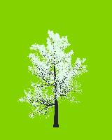 greenshift tree