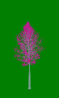 greenshift tree