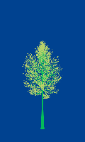 greenshift tree