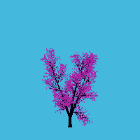 greenshift tree