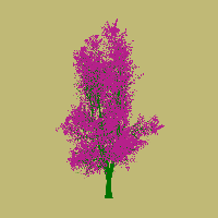 greenshift tree