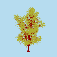 greenshift tree